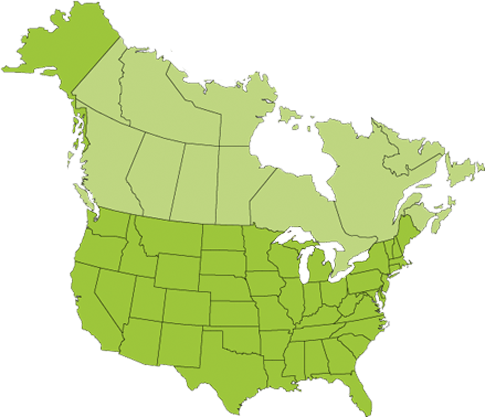 U.S. and Canada Map Icon